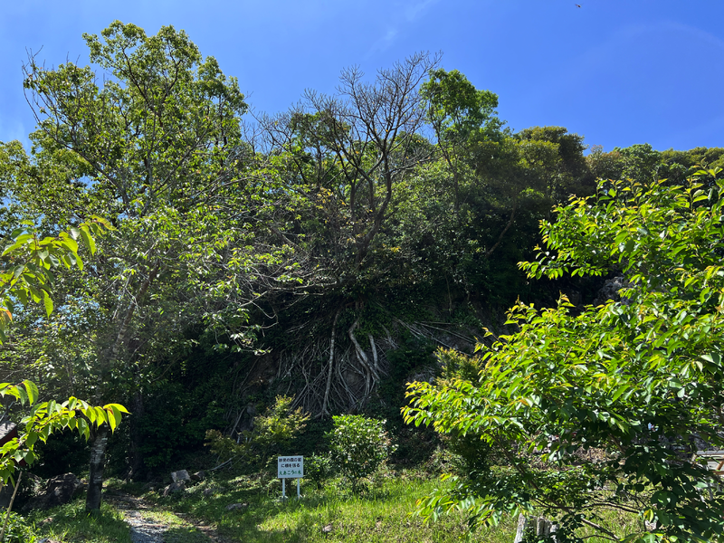 ファイル:2023.05.10-天之御中主神社04.png