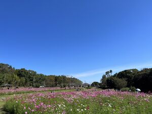 2022.10.19-慈眼寺公園