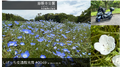2023年4月27日 (木) 10:24時点における版のサムネイル