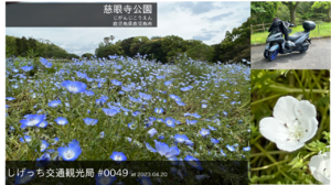 しげっち交通・観光局 0049 慈眼寺公園
