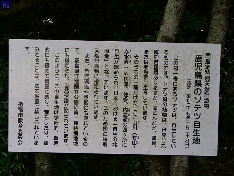 ファイル:2023.05.15-竹山神社4.jpg
