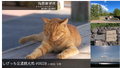 2022年11月26日 (土) 04:06時点における版のサムネイル
