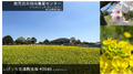 2023年4月27日 (木) 10:19時点における版のサムネイル