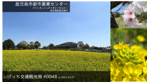 しげっち交通・観光局 #0048 都市農業センター@鹿児島市