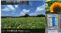 2023年10月29日 (日) 14:34時点における版のサムネイル