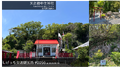 2023年6月26日 (月) 21:55時点における版のサムネイル