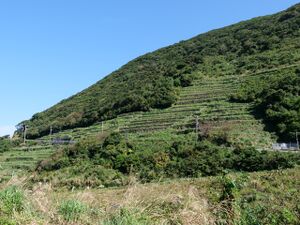 2022.10.31-笠沙谷山展望所